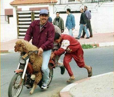 chof_weskot            omad9ola 7eta nwa7id awla...............